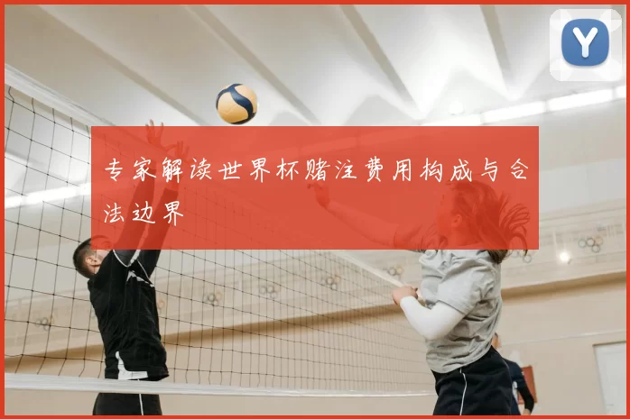 专家解读世界杯赌注费用构成与合法边界