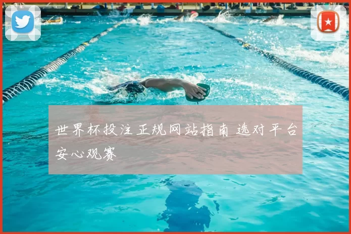 世界杯投注正规网站指南 选对平台安心观赛