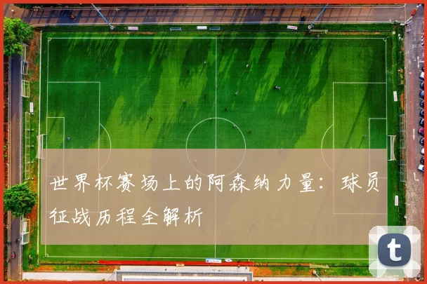 世界杯赛场上的阿森纳力量:球员征战历程全解析
