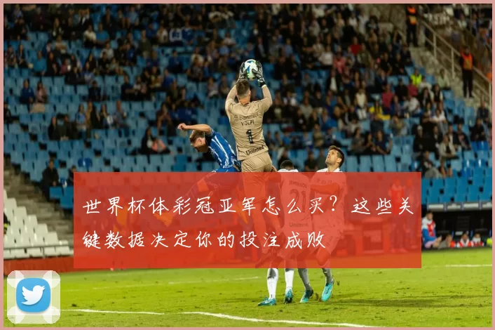 世界杯体彩冠亚军怎么买？这些关键数据决定你的投注成败