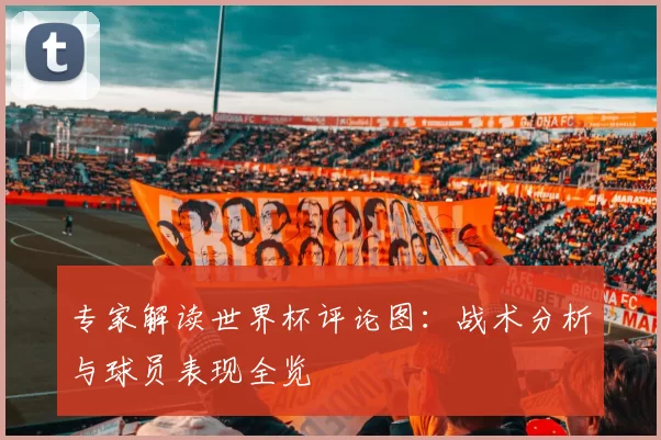 专家解读世界杯评论图:战术分析与球员表现全览