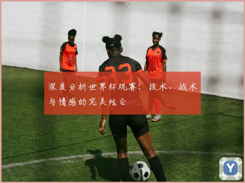 深度分析世界杯观赛：技术、战术与情感的完美结合