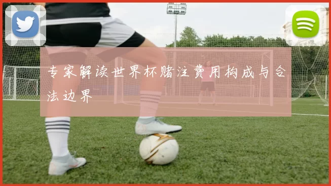 专家解读世界杯赌注费用构成与合法边界