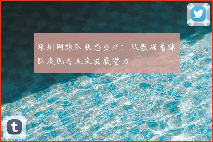 深圳网球队状态分析：从数据看球队表现与未来发展潜力