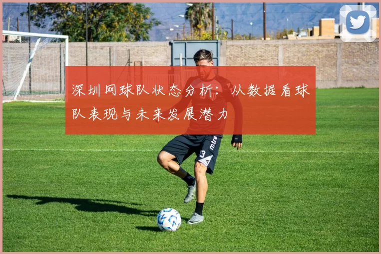 深圳网球队状态分析:从数据看球队表现与未来发展潜力