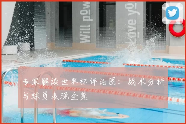 专家解读世界杯评论图:战术分析与球员表现全览