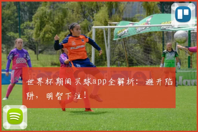 世界杯期间买球app全解析：避开陷阱，明智下注！
