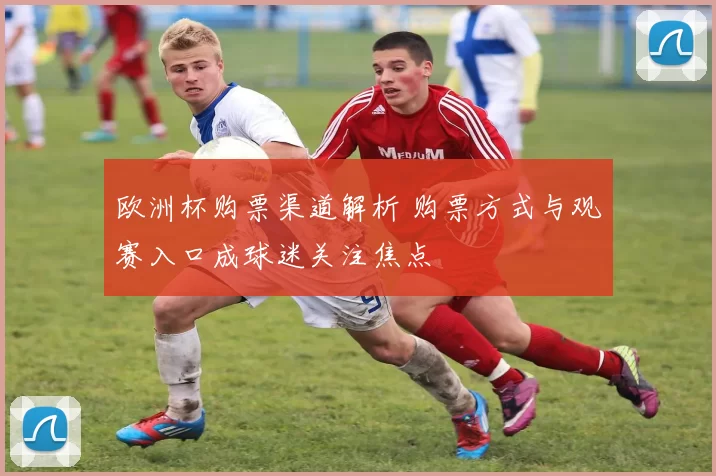 欧洲杯购票渠道解析 购票方式与观赛入口成球迷关注焦点