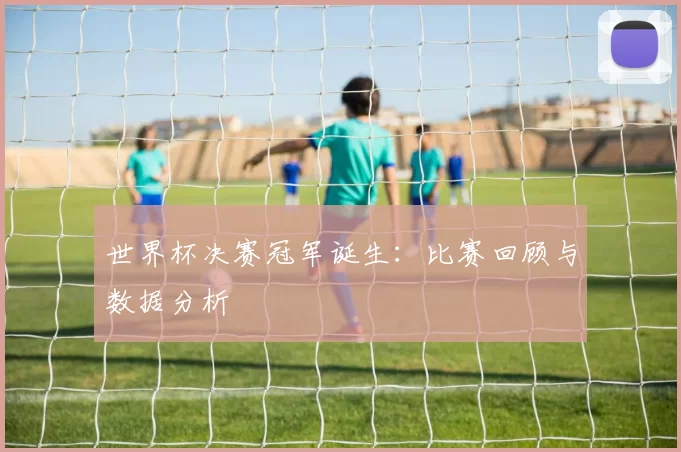 世界杯决赛冠军诞生:比赛回顾与数据分析