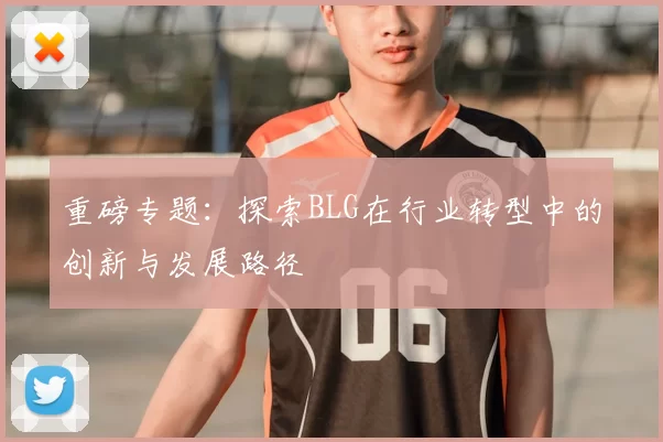重磅专题:探索BLG在行业转型中的创新与发展路径