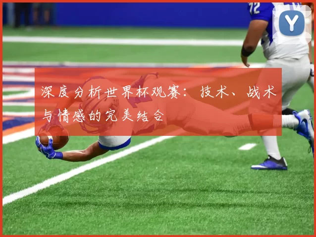 深度分析世界杯观赛:技术、战术与情感的完美结合
